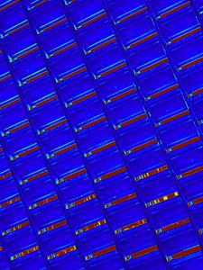 Preview wallpaper texture, blue, grid, abstraction