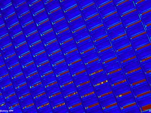 Preview wallpaper texture, blue, grid, abstraction