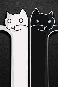 Preview wallpaper texture, cats, black white