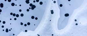 Preview wallpaper texture, dots, spots, macro