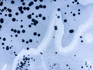 Preview wallpaper texture, dots, spots, macro