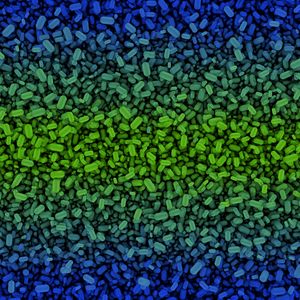 Preview wallpaper texture, gradient, colorful, abstraction