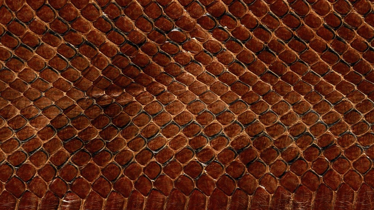 Wallpaper texture, leather, snake, scales, background