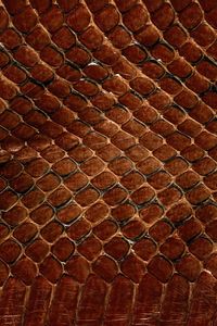 Preview wallpaper texture, leather, snake, scales, background