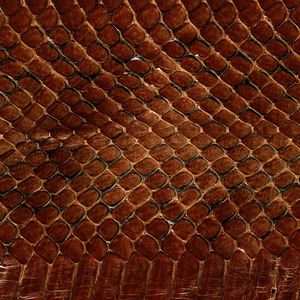 Preview wallpaper texture, leather, snake, scales, background
