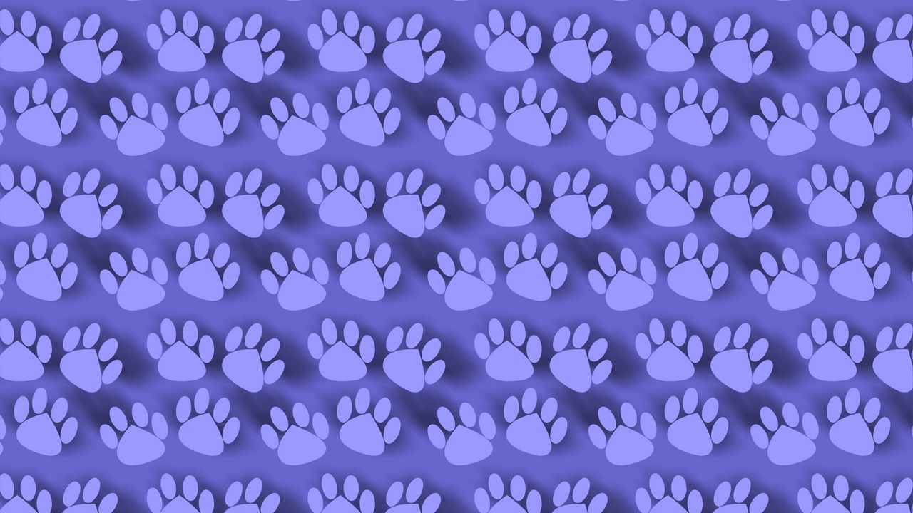 Wallpaper texture, paws, pattern, traces