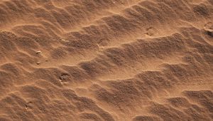 Preview wallpaper texture, sand, brown, traces