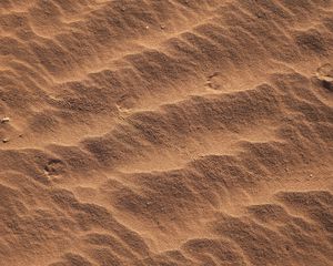 Preview wallpaper texture, sand, brown, traces