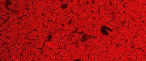 Preview wallpaper texture, spots, cranny, red