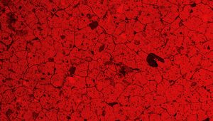 Preview wallpaper texture, spots, cranny, red