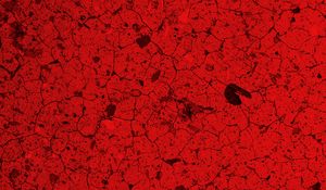 Preview wallpaper texture, spots, cranny, red