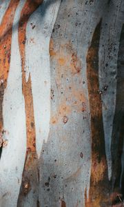 Preview wallpaper texture, spots, rust, metal