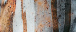 Preview wallpaper texture, spots, rust, metal