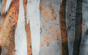 Preview wallpaper texture, spots, rust, metal