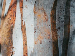 Preview wallpaper texture, spots, rust, metal