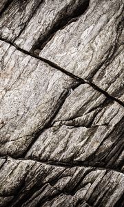 Preview wallpaper texture, stone, rock, fossil
