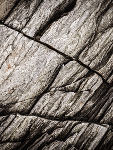 Preview wallpaper texture, stone, rock, fossil