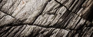 Preview wallpaper texture, stone, rock, fossil