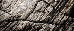Preview wallpaper texture, stone, rock, fossil