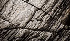 Preview wallpaper texture, stone, rock, fossil