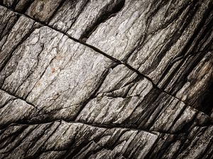 Preview wallpaper texture, stone, rock, fossil