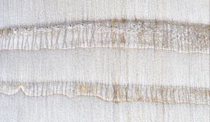 Preview wallpaper texture, stripes, wall, white