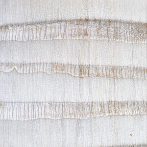 Preview wallpaper texture, stripes, wall, white