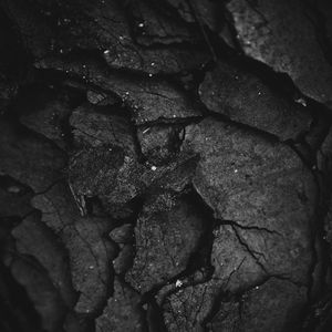 Preview wallpaper texture, surface, dark, leaves