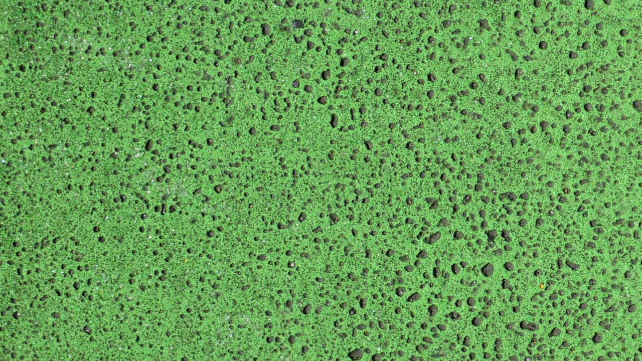 Wallpaper texture, surface, spots, green