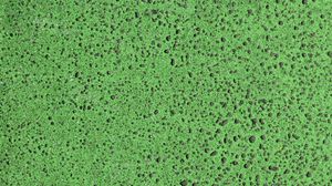 Preview wallpaper texture, surface, spots, green