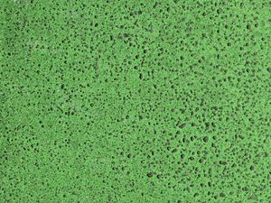 Preview wallpaper texture, surface, spots, green