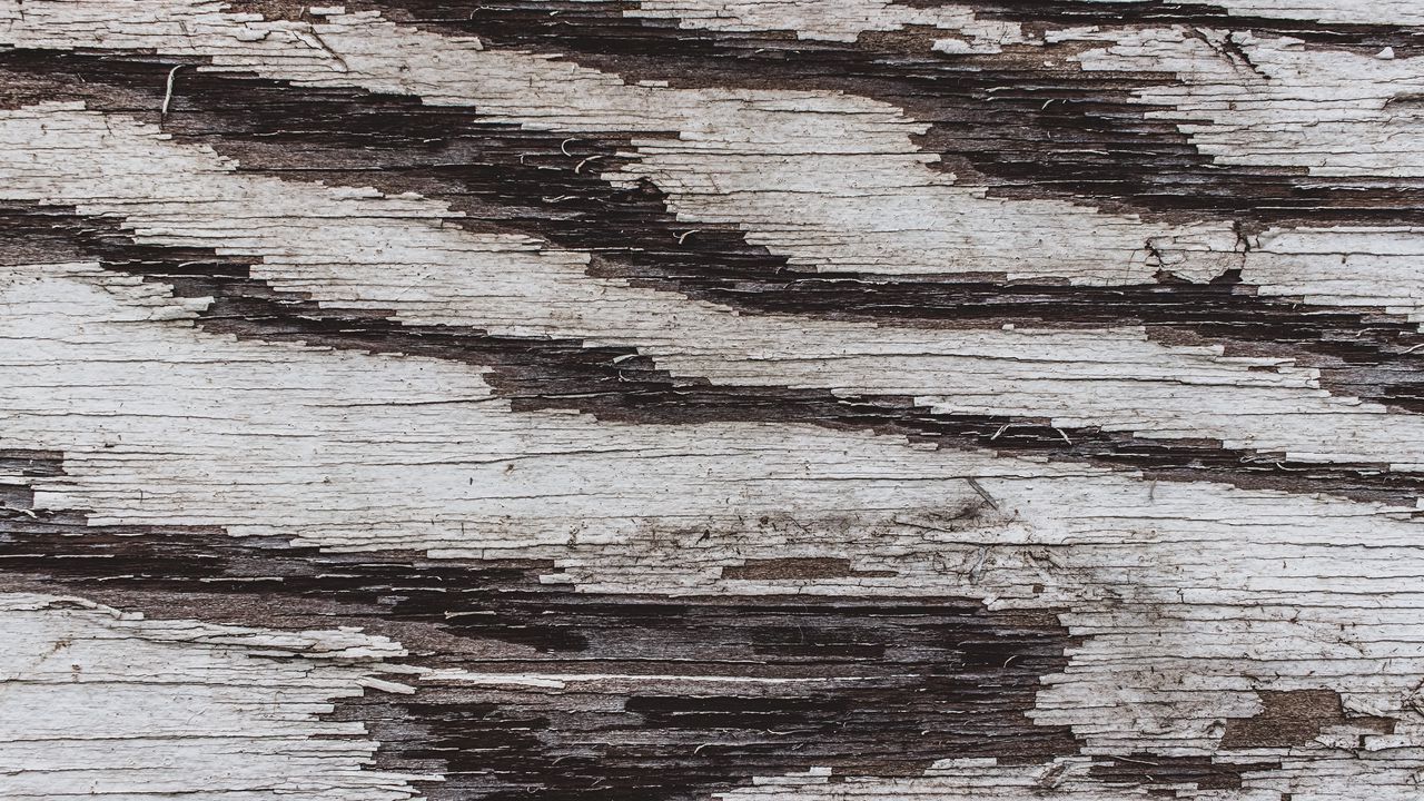 Wallpaper texture, wood, paint