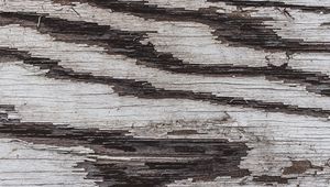 Preview wallpaper texture, wood, paint