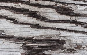 Preview wallpaper texture, wood, paint