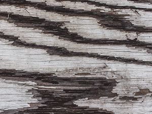 Preview wallpaper texture, wood, paint