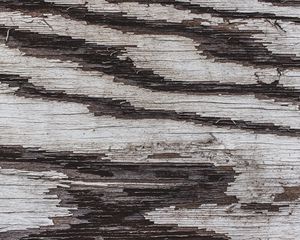 Preview wallpaper texture, wood, paint