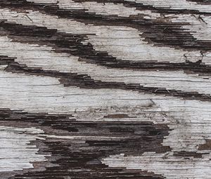 Preview wallpaper texture, wood, paint