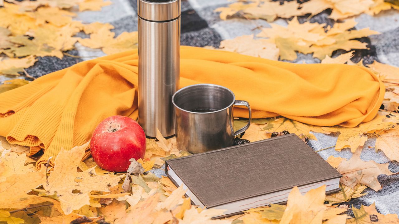 Wallpaper thermos, mug, apple, book, autumn