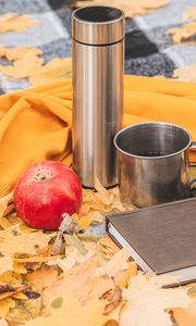 Preview wallpaper thermos, mug, apple, book, autumn