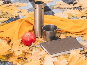 Preview wallpaper thermos, mug, apple, book, autumn