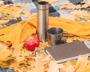 Preview wallpaper thermos, mug, apple, book, autumn