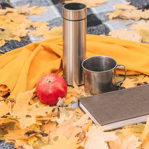 Preview wallpaper thermos, mug, apple, book, autumn