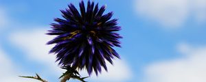Preview wallpaper thistle, flower, purple