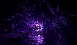 Preview wallpaper threads, tangled, glow, purple, macro