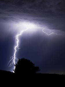 Preview wallpaper thunderstorm, lightning, flash, tree, silhouette, dark