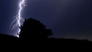 Preview wallpaper thunderstorm, lightning, flash, tree, silhouette, dark