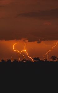 Preview wallpaper thunderstorm, lightning, trees, twilight, dark