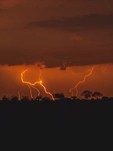 Preview wallpaper thunderstorm, lightning, trees, twilight, dark