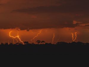 Preview wallpaper thunderstorm, lightning, trees, twilight, dark