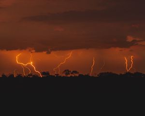 Preview wallpaper thunderstorm, lightning, trees, twilight, dark